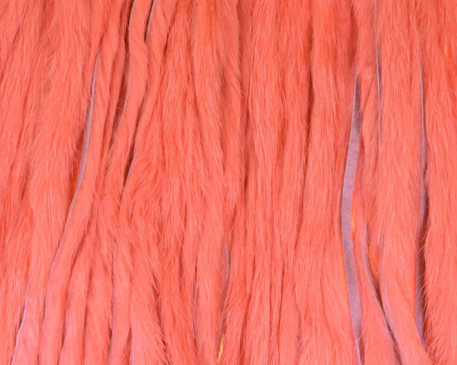 Shrimp pink